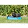 Piscina para Cães Trixie (70cm/12cm) (TX39480)
