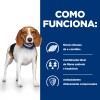 Hill's Prescription Diet Cão R/D Weight Loss