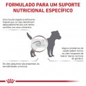 Royal Canin Veterinary Diet Cão Gastrointestinal Low Fat Small Dog