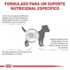 Royal Canin Veterinary Diet Cão Gastrointestinal Low Fat Small Dog