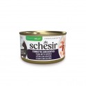 Schesir Gato Húmidos in jelly Atum com Dentão