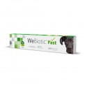 WeBiotic Fast 30ml - para cães dos 12kg - 36kg