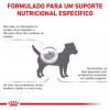 Royal Canin Veterinary Diet Cão Renal Small Dog