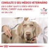 Royal Canin Veterinary Diet Cão Renal Small Dog