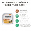 Schesir Cão Húmidos Sensitive Hip&Joint Veado Monoprotein