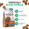 Schesir Manutenção Peixe Gatos 1,5Kg Dry Line (Linha Seca)