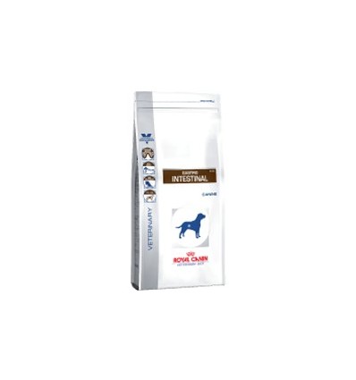 Gastrointestinal royal canin 14 kg shop