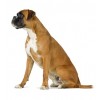 Royal Canin Gastro Intestinal 14Kg