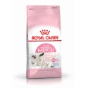 Royal Canin Mother & Babycat, Gato, Seco, Adulto, Gatinho, Alimento/Ração