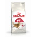 Royal Canin Fit 32, Gato, Seco, Adulto, Alimento/Ração