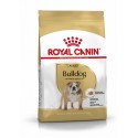 Royal Canin Bulldog Adult, Cão, Seco, Adulto, Alimento/Ração