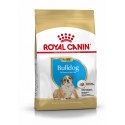 Royal Canin Bulldog Puppy, Cão, Seco, Cachorro, Alimento/Ração