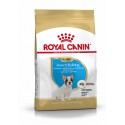 Royal Canin French Bulldog Puppy, Cão, Seco, Cachorro, Alimento/Ração