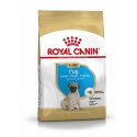 Royal Canin Pug Puppy, Cão, Seco, Cachorro, Alimento/Ração