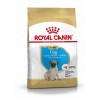 Royal Canin Pug Junior 1,5Kg