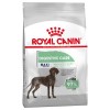Royal Canin Maxi, Cão, Seco, Adulto Digestive Care, Alimento/Ração