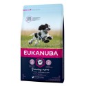 Eukanuba Cão Medium Puppy Frango