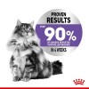 Royal Canin Appetite Control , Gatos, Húmidos, Adulto, Alimento/Ração
