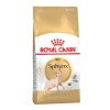 Royal Canin Siamese, Gato, Seco, Adulto, Siamês, Alimento/Ração