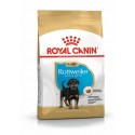 Royal Canin Rottweiler, Cão, Seco, Adulto, Alimento/Ração