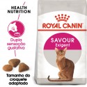 Royal Canin Savour Exigent, Gato, Seco, Adulto, Alimento/Ração