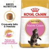 Royal Canin Maine Coon, Gato, Seco, Adulto, Maine Coon, Alimento/Ração