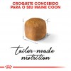 Royal Canin Maine Coon, Gato, Seco, Adulto, Maine Coon, Alimento/Ração
