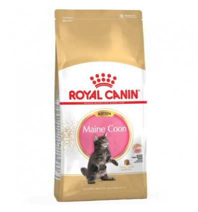 Royal Canin Maine Coon, Gato, Seco, Adulto, Maine Coon, Alimento/Ração