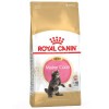 Royal Canin Maine Coon, Gato, Seco, Adulto, Maine Coon, Alimento/Ração