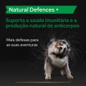 Purina Pro Plan Suplemento Natural Defenses + Cão 45 comp.