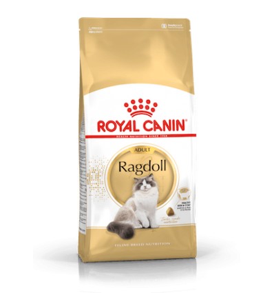 Royal Canin Ragdoll, Gato, Seco, Adulto, Ragdoll, Alimento/Ração