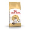 Royal Canin Ragdoll, Gato, Seco, Adulto, Ragdoll, Alimento/Ração