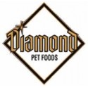 Diamond Cão Sénior