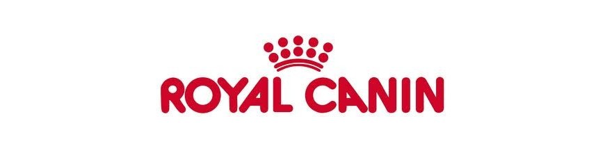 Royal Canin Gato Adulto/Sénior
