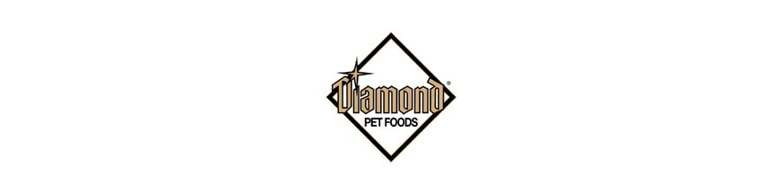 Diamond Cão Adulto