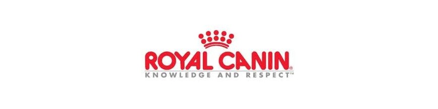 Royal Canin Gato Húmidos / Snacks