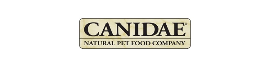 Canidae Gatos