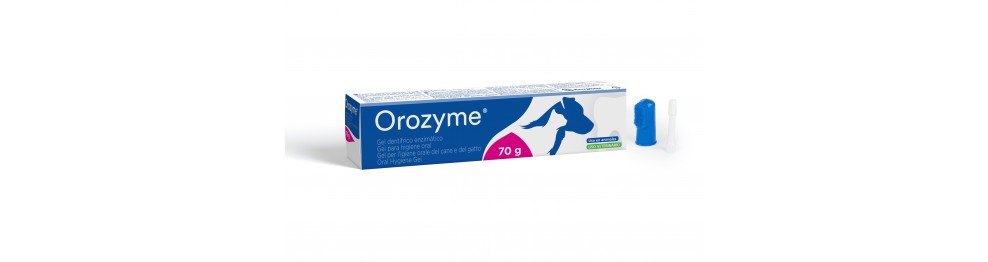 Higiene Oral
